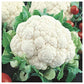 Snowball Self Blanching Cauliflower Seeds, 1000 Heirloom Seeds Per Packet, Non GMO Seeds