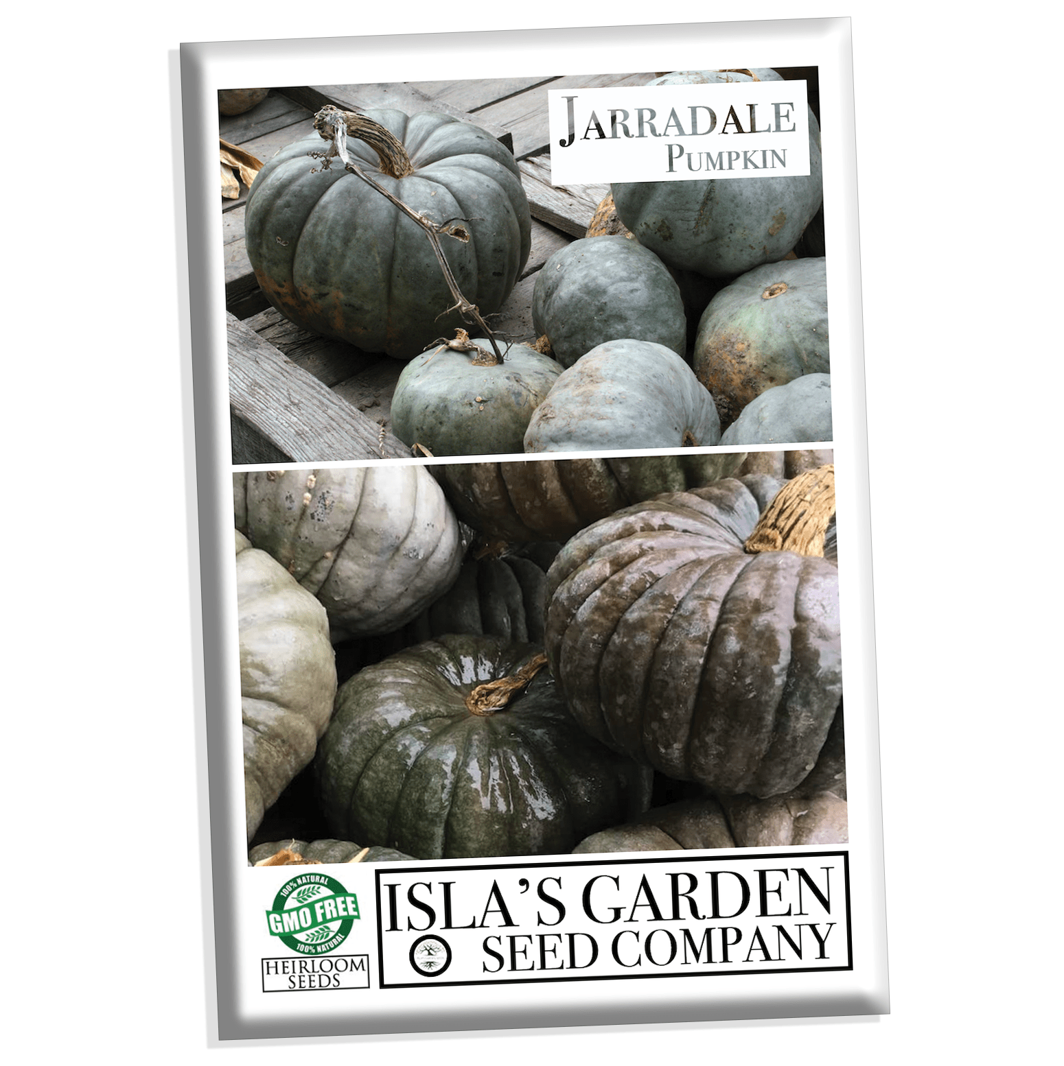 Jarradale Pumpkin Seeds, 10 Heirloom Seeds Per Packet, Non GMO Seeds, Botanical Name: Cucurbita Maxima