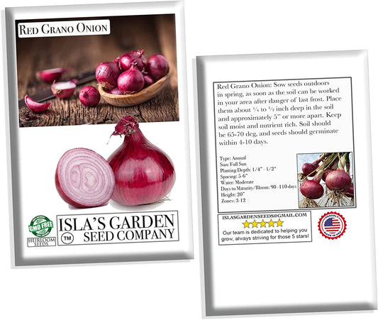 Red Grano Onion Seeds, 300 Heirloom Seeds Per Packet, Non GMO Seeds
