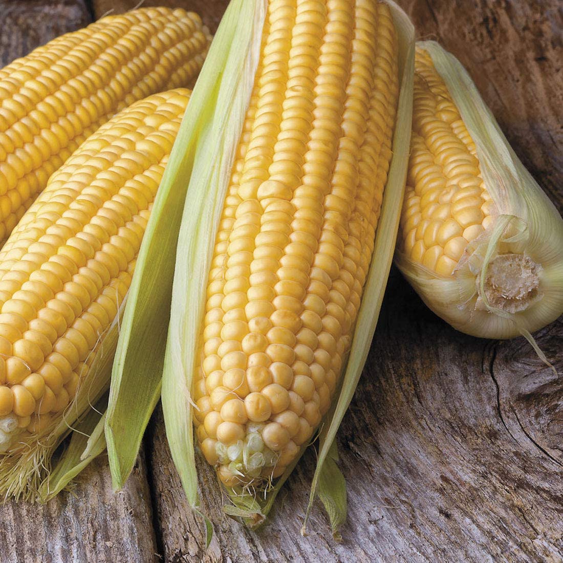 Honey Select Yellow Sweet Corn Seeds for Planting, 50+ Heirloom Seeds Per Packet, Non GMO Seeds, Botanical Name: Zea Mays
