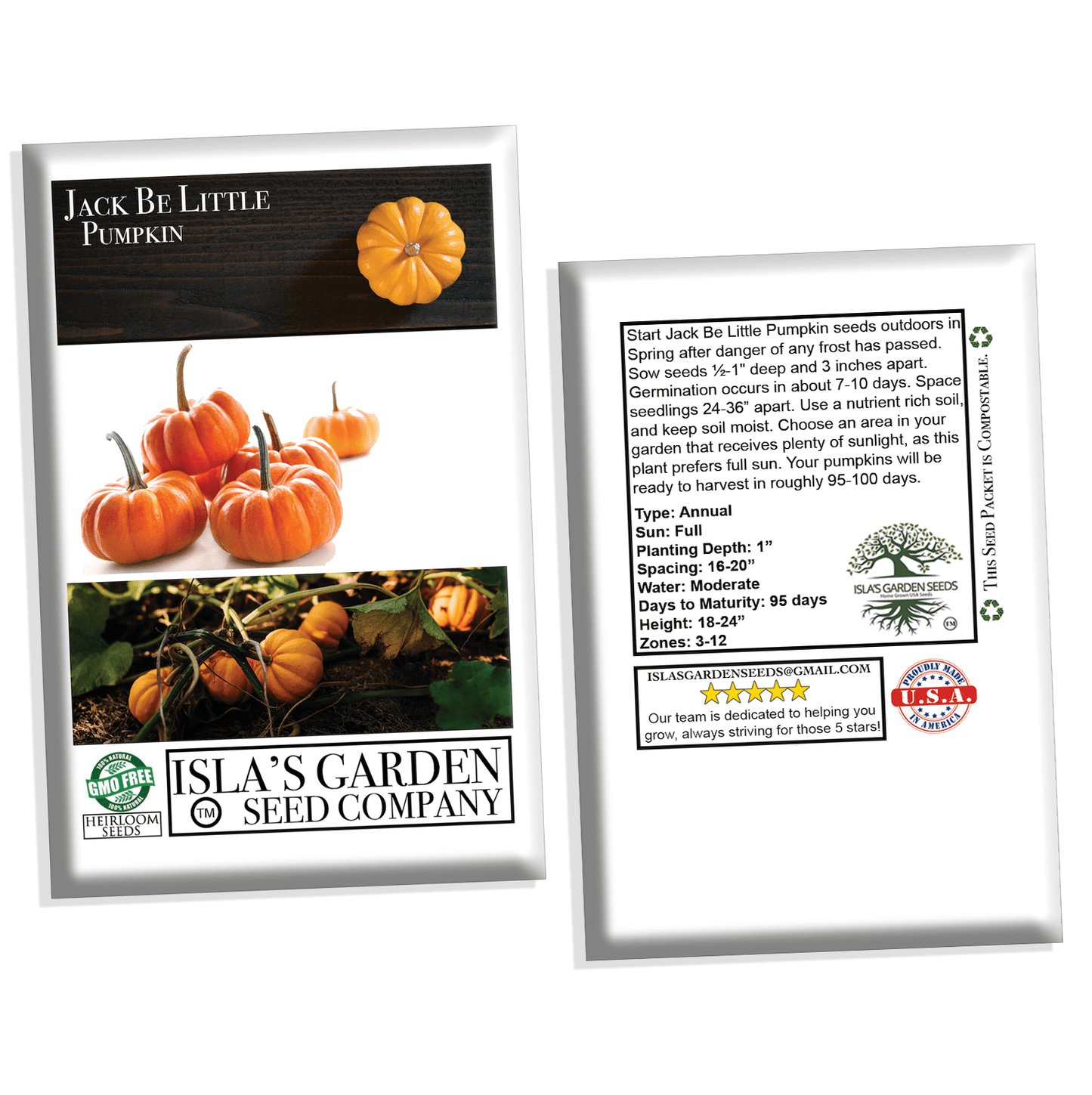 Jack Be Little Pumpkin Seeds, 10 Heirloom Seeds Per Packet, Non GMO Seeds, Botanical Name: Cucurbita Maxima