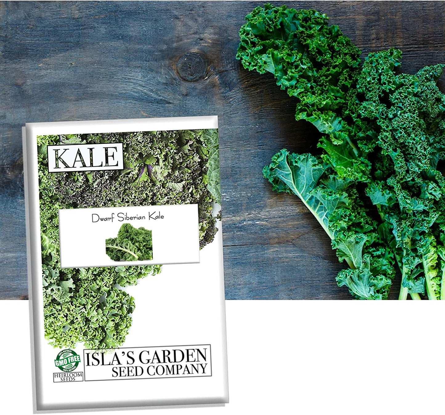 Dwarf Siberian Kale Seeds for Planting, 500+ Heirloom Seeds Per Packet, Isla's Garden Seeds , Non GMO Seeds, Botanical Name: Brassica oleracea, Great Home Garden Gift