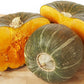 Burgess Buttercup Winter Squash, 25 Heirloom Seeds Per Packet, Non GMO Seeds