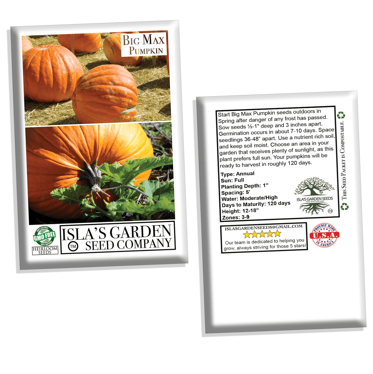 Big Max Pumpkin Seeds, 20 Heirloom Seeds Per Packet, Non GMO Seeds