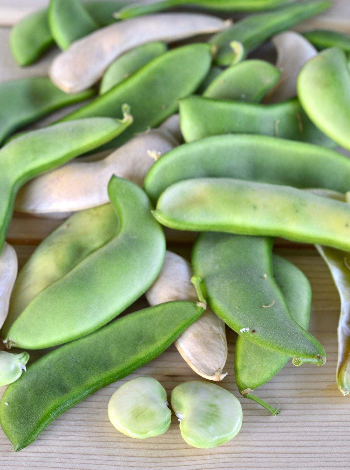 Henderson Lima Bean, 50 Heirloom Seeds Per Packet, Non GMO Seeds