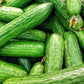 Beit Alpha Burpless Cucumber, 100 Heirloom Seeds Per Packet, Non GMO Seeds