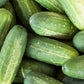Carolina Cucumber Seeds, 100 Heirloom Seeds Per Packet, Non GMO Seeds