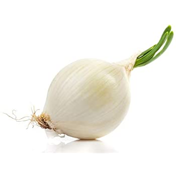 Crystal White Wax Onion Seeds, 500 Heirloom Seeds Per Packet, Non GMO Seeds