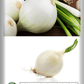 Crystal White Wax Onion Seeds, 500 Heirloom Seeds Per Packet, Non GMO Seeds
