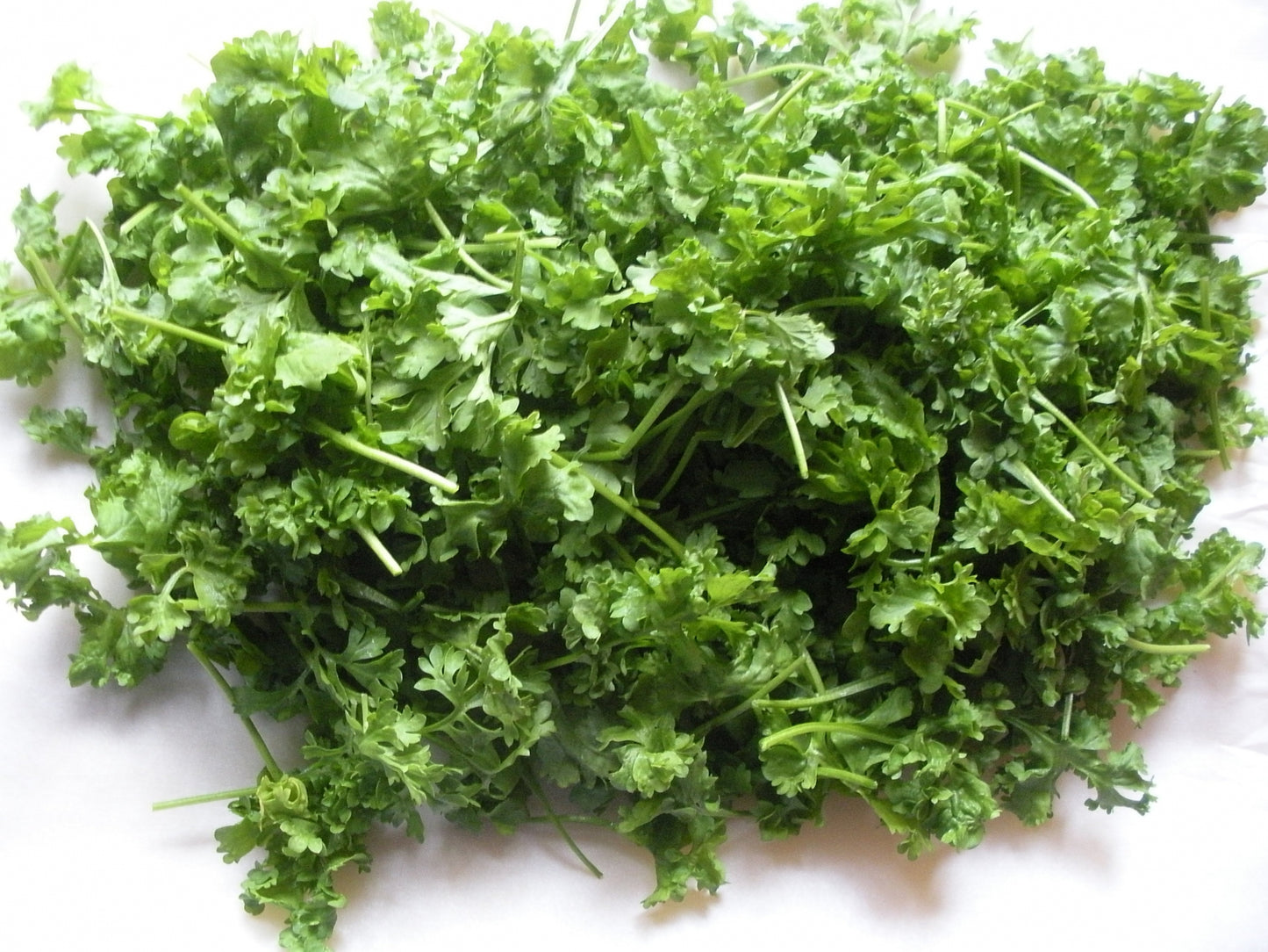 Curled Cress Herb, 500 Heirloom Seeds Per Packet, Non GMO Seeds
