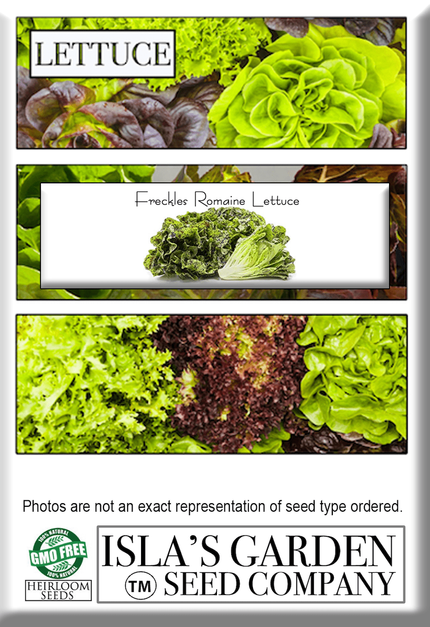 Freckles Romaine Lettuce, 1000 Heirloom Seeds Per Packet, Non GMO Seeds