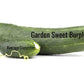 Garden Sweet Burpless Cucumber Seeds, 100+ Heirloom Seeds Per Packet, Non GMO Seeds