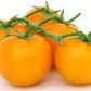 Golden Jubilee Heirloom Tomato, 100 Seeds Per Packet, Non GMO Seeds, Botanical Name: Solanum lycopersicum