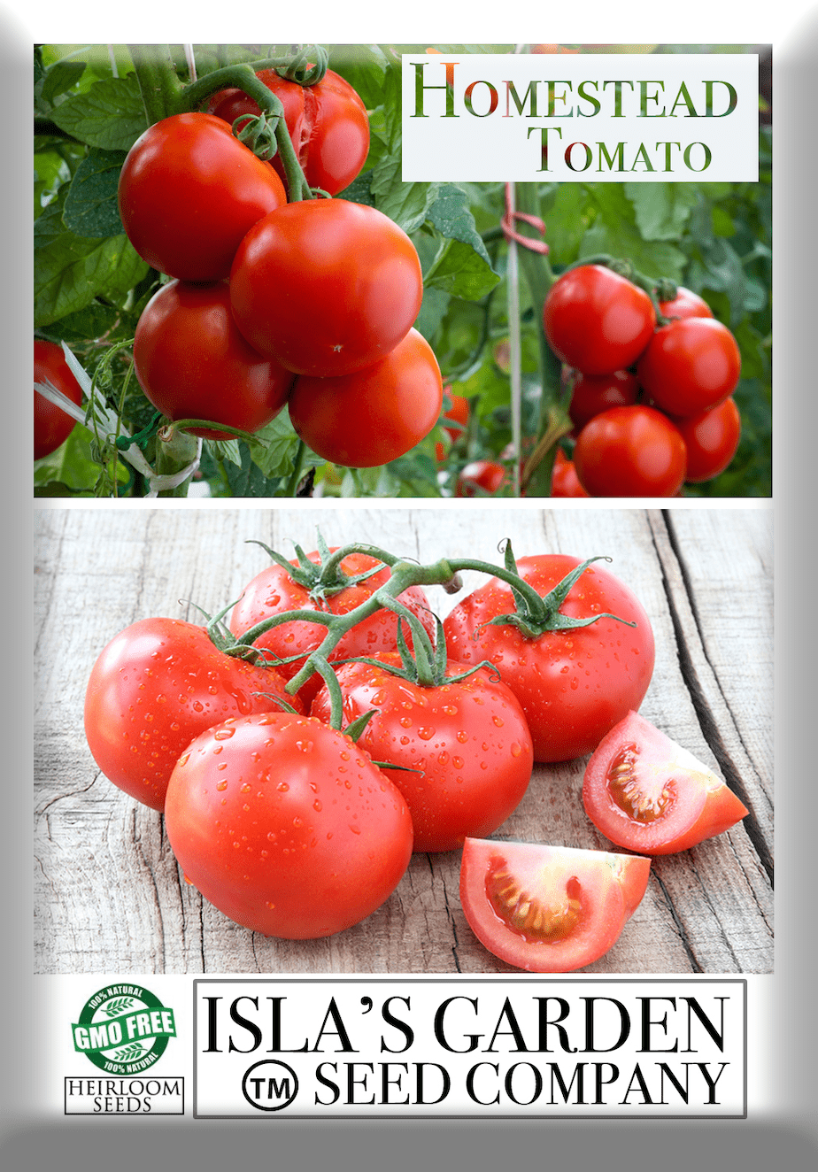 Homestead Heirloom Tomato Seeds, 250 Seeds Per Packet, Non GMO Seeds