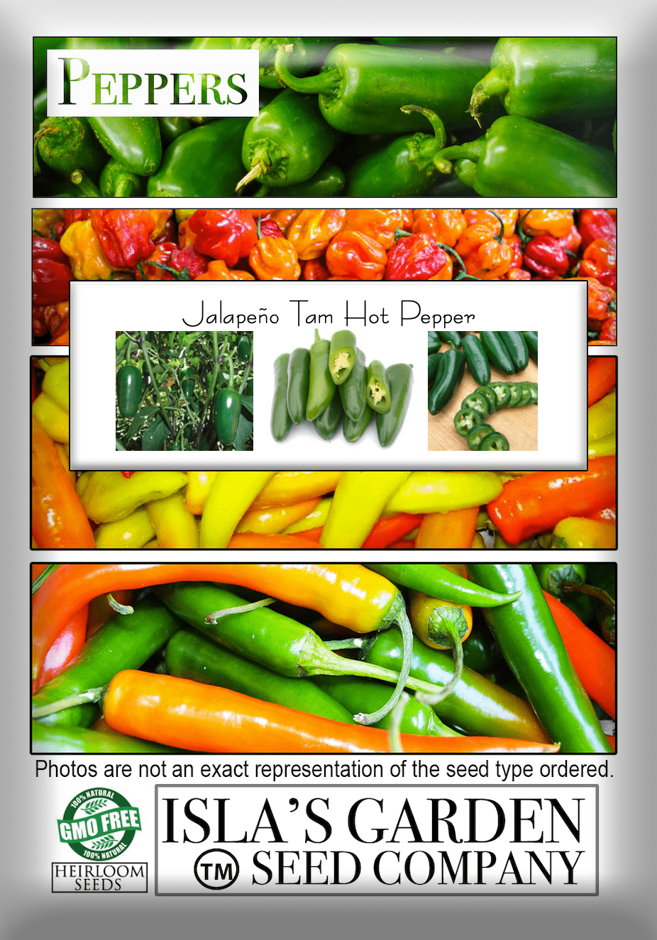 Jalapeno Tam Hot Pepper, 150 Heirloom Seeds Per Packet, Non GMO Seeds