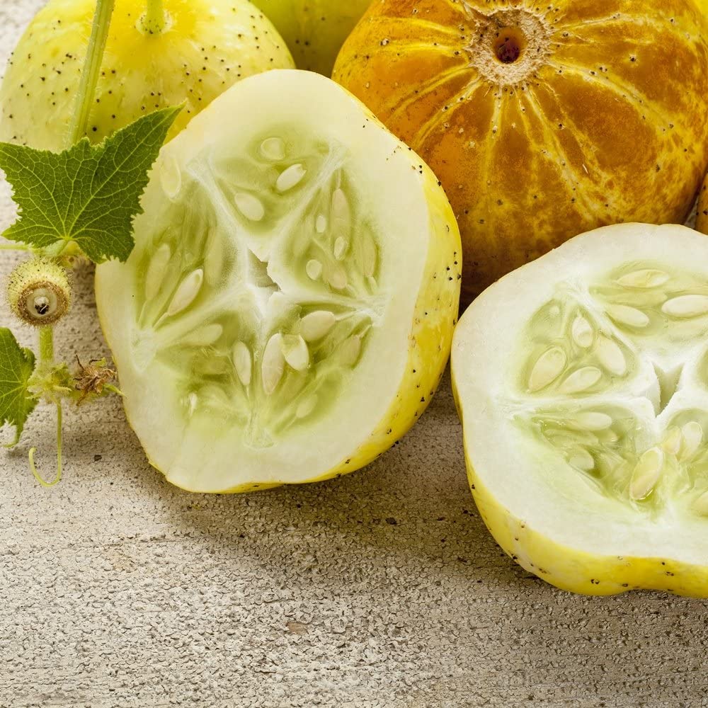 Lemon Cucumber Seeds, 125 Seeds Per Packet, Non GMO Seeds