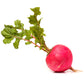 Pink Celebration Radish Seeds, 100 Heirloom Seeds Per Packet, Non GMO Seeds