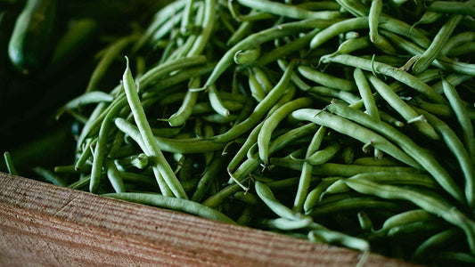 Provider Bush Bean Seeds, 30 Heirloom Seeds Per Packet, Non GMO Seeds