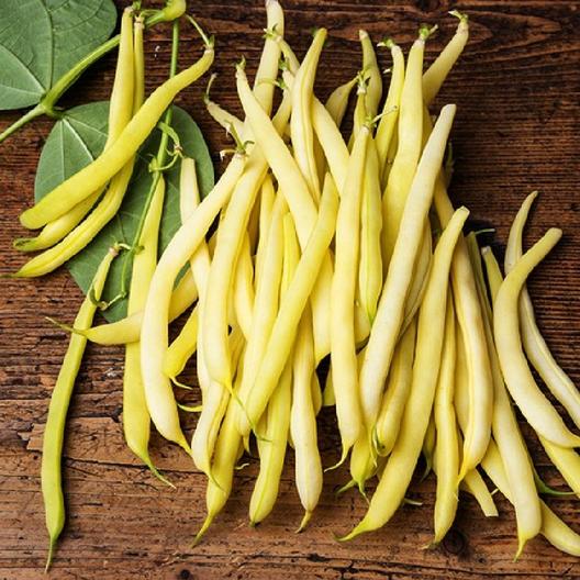 Golden Wax Bush Bean Seeds, 30 Heirloom Seeds Per Packet, Non GMO Seeds
