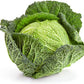 Savoy Cabbage Seeds, 500 Heirloom Seeds Per Packet, Non GMO Seeds