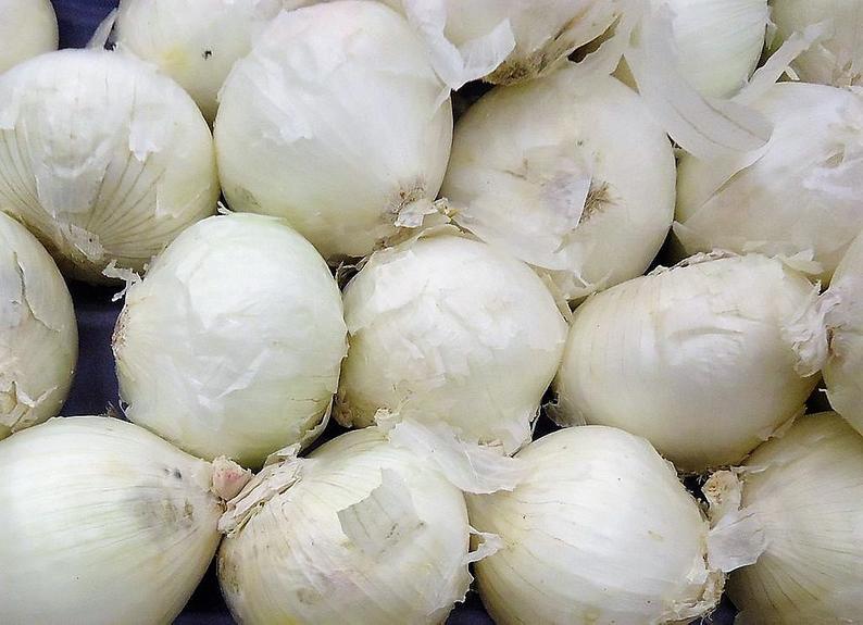 Sweet Spanish White Onion Seeds, 500 Heirloom Seeds Per Packet, Non GMO Seeds