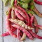 French Horticulture Bean Seeds for Planting, 50+ Heirloom Seeds Per Packet, Non GMO Seeds, aka. Borlotti Bean, Botanical Name: Phaseolus vulgaris