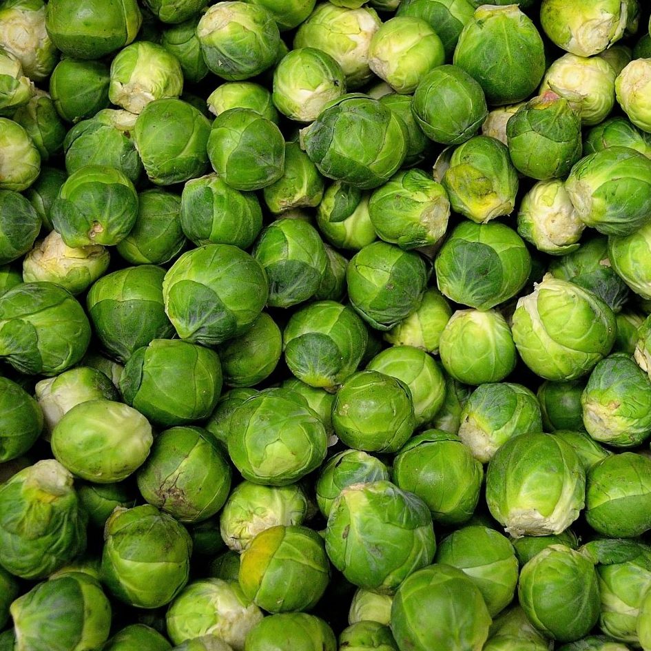 Long Island Improved Brussel Sprout Seeds, 200+ Heirloom Seeds Per Packet, Non GMO Seeds