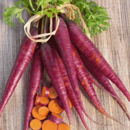 Cosmic Purple Carrot Seeds, 500 Heirloom Seeds Per Packet, Non GMO Seeds