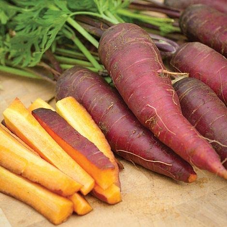Cosmic Purple Carrot Seeds, 500 Heirloom Seeds Per Packet, Non GMO Seeds