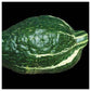 True Green Improved Hubbard Squash Seeds, 25 Heirloom Seeds Per Packet, Non GMO Seeds
