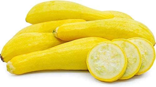 Early Proliic Straightneck Squash Seeds, 50 Heirloom Seeds Per Packet, Non GMO Seeds