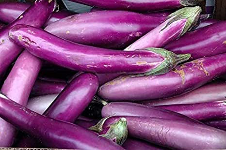 Slim Purple Eggplant, 30 Seeds Per Packet, Non GMO Seeds