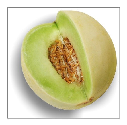 Green Flesh Honey Dew Seeds, 30 Heirloom Seeds Per Packet, Non GMO Seeds