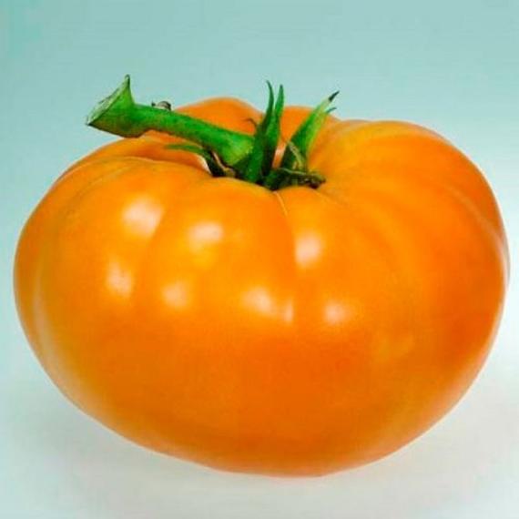 Amana Orange Heirloom Beefsteak Tomato, 50 Seeds Per Packet, Non GMO Seeds