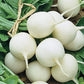 Hailstone Radish, 250 Heirloom Seeds Per Packet, Non GMO Seeds