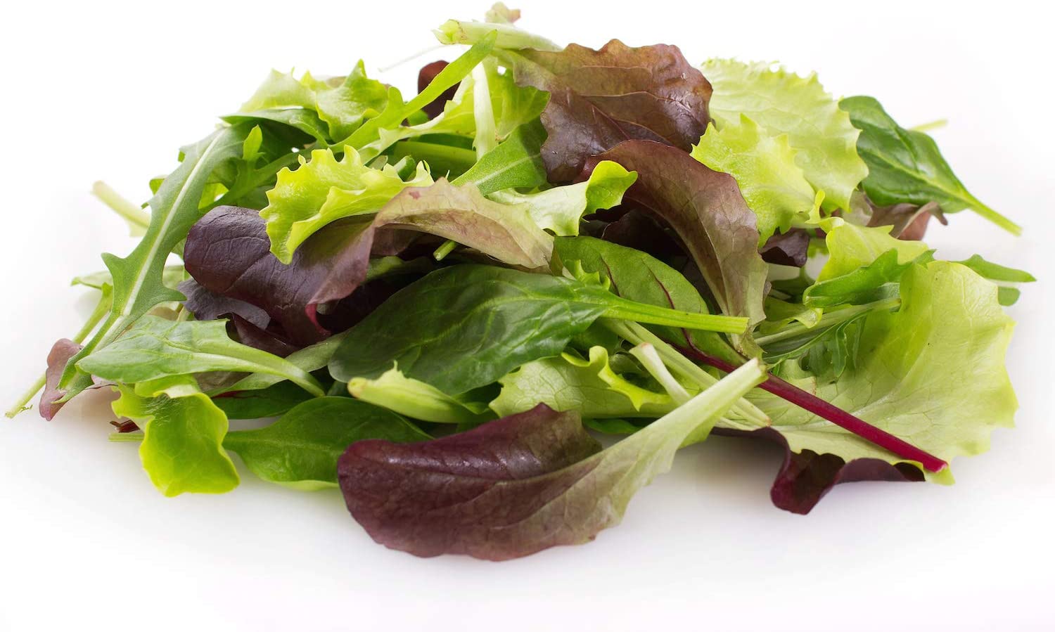 Mixed Greens Lettuce Variety, 500 Heirloom Seeds Per Packet, Non GMO Seeds