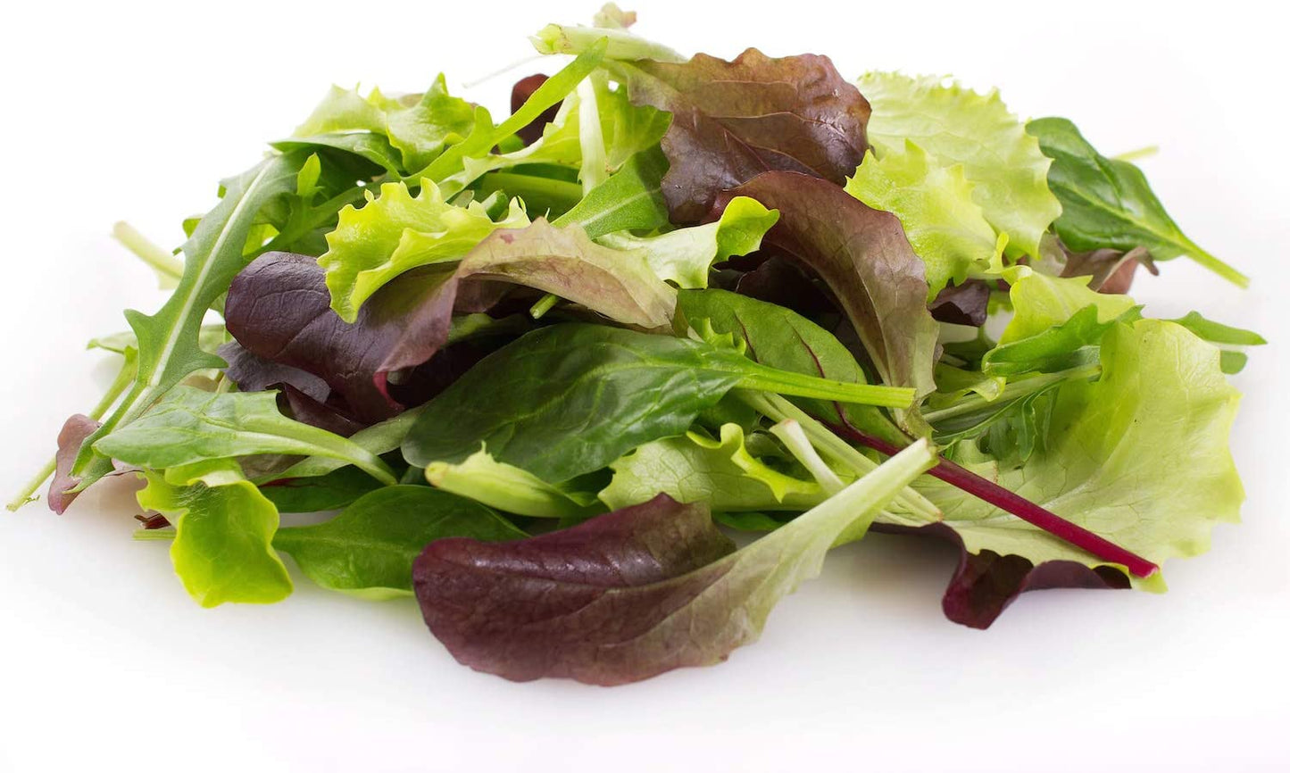 Mixed Greens Lettuce Variety, 500 Heirloom Seeds Per Packet, Non GMO Seeds