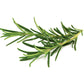 Rosemary Herb, 250 Heirloom Seeds Per Packet, Non GMO Seeds