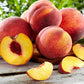 Nemaguard Peach Tree Seeds, 3 Seeds Per Packet