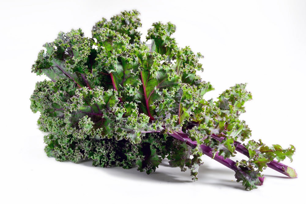 Red Russian Kale Microgreen Seeds – Non-GMO, Heirloom, For Sprouting & Growing, Fresh Seeds In Printed Pack