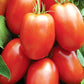 Italian Roma Heirloom Tomato, 25+ Heirloom Seeds Per Packet, Non GMO Seeds