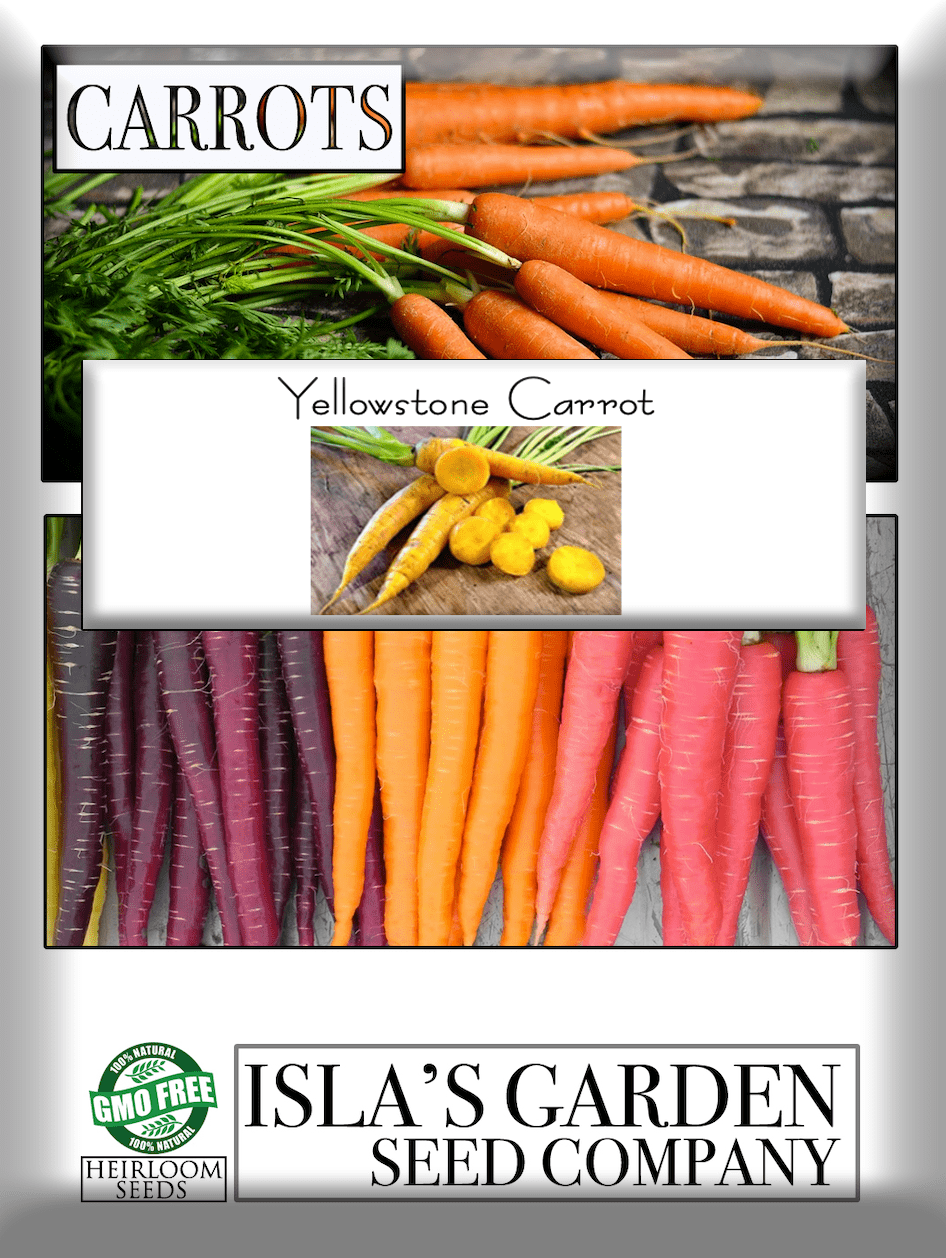 Yellowstone Pelleted Carrot, 100 Heirloom Seeds Per Packet, Non GMO Seeds
